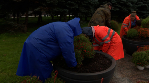 Полыхающие огни в ночи приближающихся холодов: Московскую площадь украшают яркими хризантемами Мультифлора