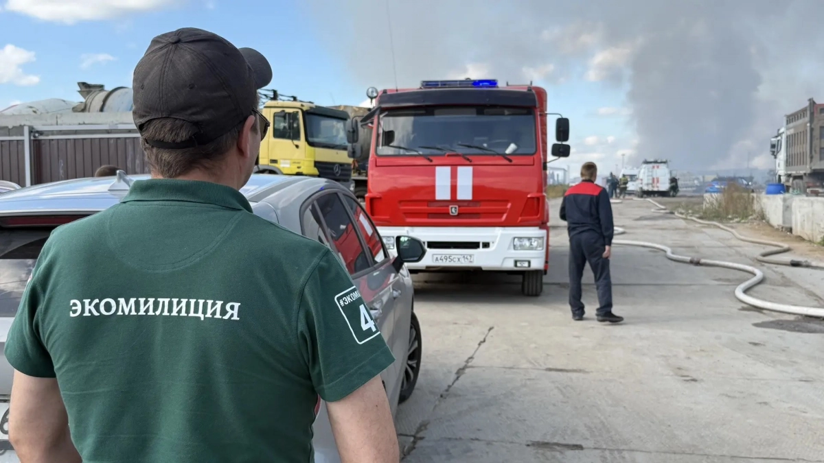 Возместил 7,9 млн рублей, но мусор остался — как борются со свалкой в Соржа-Старой - tvspb.ru