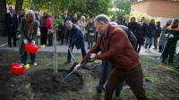 Александр Беглов: Дубы в Ораниенбаумском саду будут напоминать о великих многовековых традициях ленинградской и петербургской сцены
