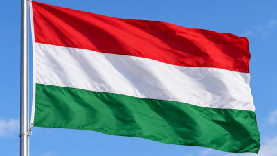 В Венгрии сняли неприкосновенность с двух бывших министров Орбана