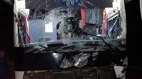 В Лодейнопольском районе рейсовый автобус сбил лося