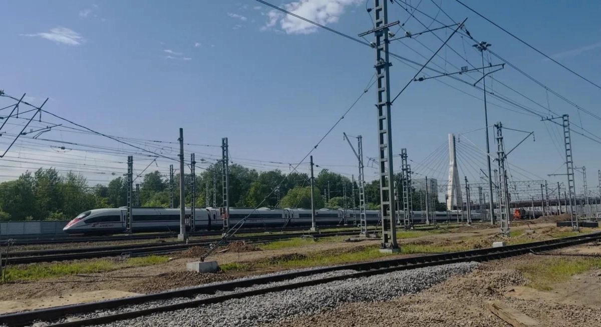 В Ленобласти пенсионера убило ветром от пролетающего «Сапсана» - tvspb.ru
