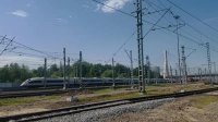 В Ленобласти пенсионера убило ветром от пролетающего «Сапсана»