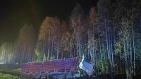 Компания-перевозчик пообещала помочь семьям погибших в ДТП под Архангельском
