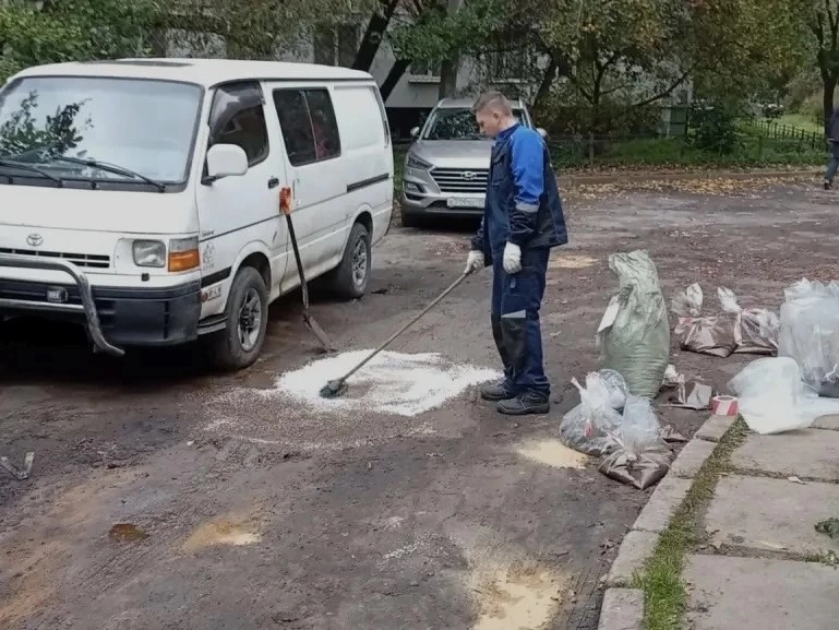 Экологические службы Петербурга за неделю собрали свыше 76 тонн опасных отходов - tvspb.ru