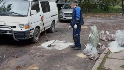 Экологические службы Петербурга за неделю собрали свыше 76 тонн опасных отходов