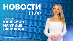 Новости Петербурга к 11:00