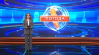 Облачно и до +14 — какая погода ждет петербуржцев 25 сентября