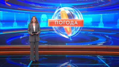 Облачно и до +14 — какая погода ждет петербуржцев 25 сентября
