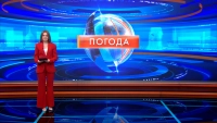 Ясно, без осадков, днём до +16 — какая погода ожидается в Петербурге 15 сентября
