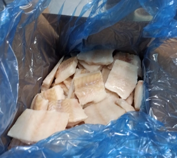Большой порт Петербурга на 17 тысяч тонн нарастил импорт мяса и морепродуктов