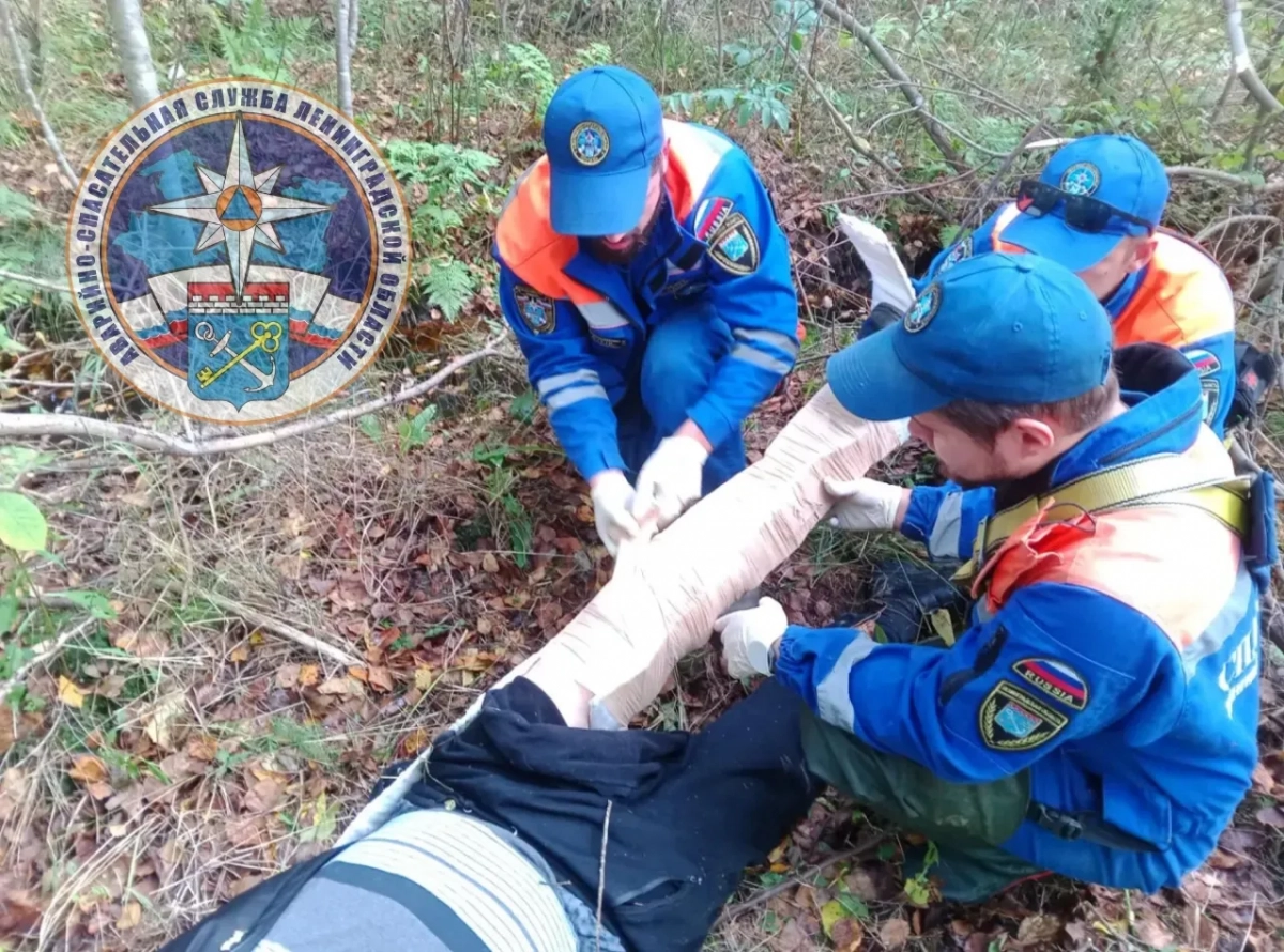 В Ленобласти спасатели вызволили из леса мужчину со сломанной ногой - tvspb.ru