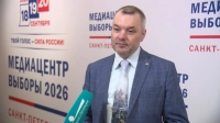 Дмитрий Солонников: Нарушений на избирательных участках не было обнаружено