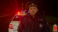 В Лужском районе автомобиль насмерть сбил школьницу