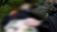 Мертвец в лесу: скончавшегося во Всеволожском районе грибника смогли вывезти из чащи только через трое суток