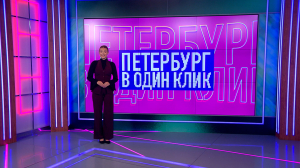 В один клик: поэты на Невском, багровый закат, эскадра на Крюковом канале, чайка-воровка и ночные танцы совы — о чём рассказывали жители города в соцсетях