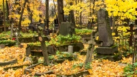 Останки мужчины с проломленным черепом нашли в склепе на Новодевичьем кладбище Петербурга