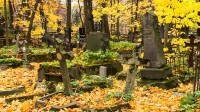 Останки мужчины с проломленным черепом нашли в склепе на Новодевичьем кладбище Петербурга