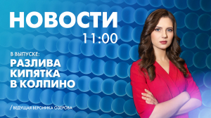 Новости Петербурга к 11:00