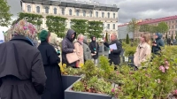 Петербургский сад-трансформер признали новой визитной карточкой Северной столицы