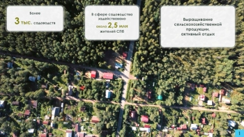 Александр Беглов: Петербург в 2027 году обновит 39 подъездных дорог к садоводствам