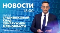Новости Петербурга к 18:00