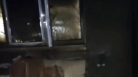 Под Гатчиной из пожара спасли двоих, ещё 27 жильцов покинули дом