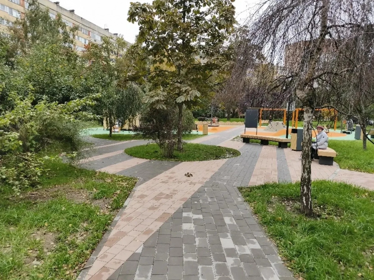 Где в Петербурге появились новые площадки, дорожки и зоны отдыха - tvspb.ru