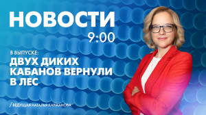 Новости Петербурга к 9:00
