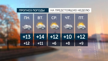 Следующая неделя в Петербурге начнется с дождей и +13 градусов