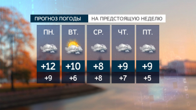 Пасмурно, но тепло: прогноз погоды в Петербурге на неделю