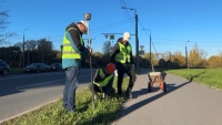 На улице Солдата Корзуна зажгутся 170 новых светодиодных фонарей