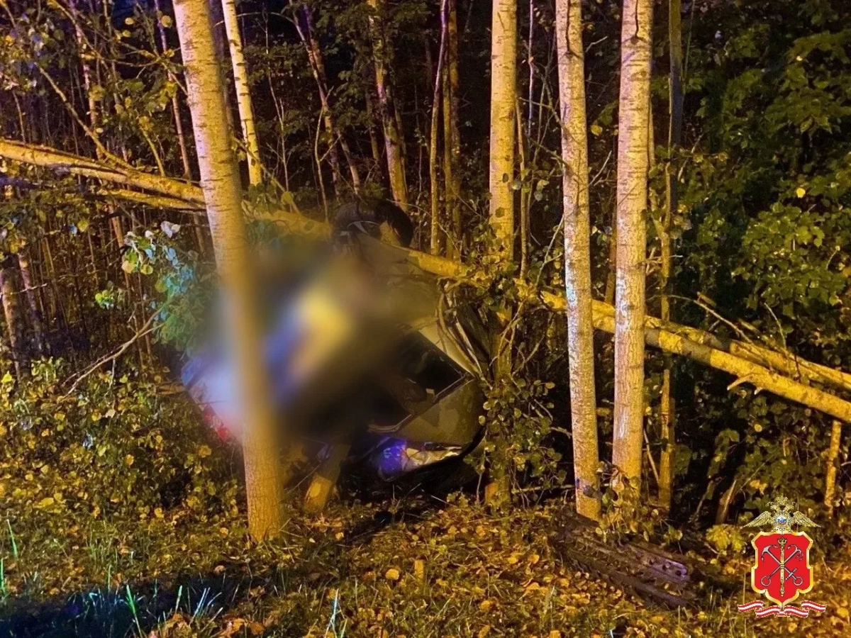 В Ленобласти «Лада Приора» вылетела в кювет и врезала в дерево – водитель погиб - tvspb.ru
