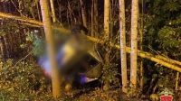 В Ленобласти «Лада Приора» вылетела в кювет и врезала в дерево – водитель погиб