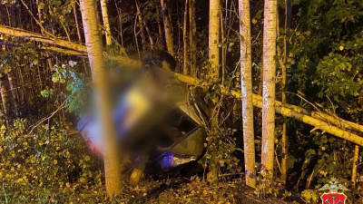 В Ленобласти «Лада Приора» вылетела в кювет и врезалась в дерево – водитель погиб