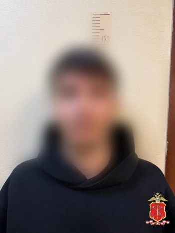 В Петербурге задержали курьера мошенников-москвича, обманувшего пенсионерку на 4,4 млн рублей