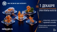 ФНС напоминает: Заплатить налоги нужно не позднее 1 декабря
