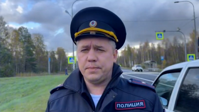 Переходила дорогу от остановки: пожилая женщина погибла в ДТП на трассе «Кола»