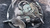 Серебро и вороны Одина: в Ленобласти нашли крупнейший средневековый клад Северо-Запада
