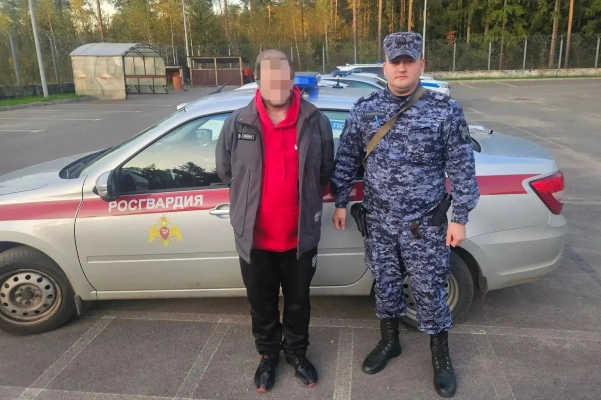 Во Всеволожске задержали петербуржца, объявленного в местный и федеральный розыск - tvspb.ru