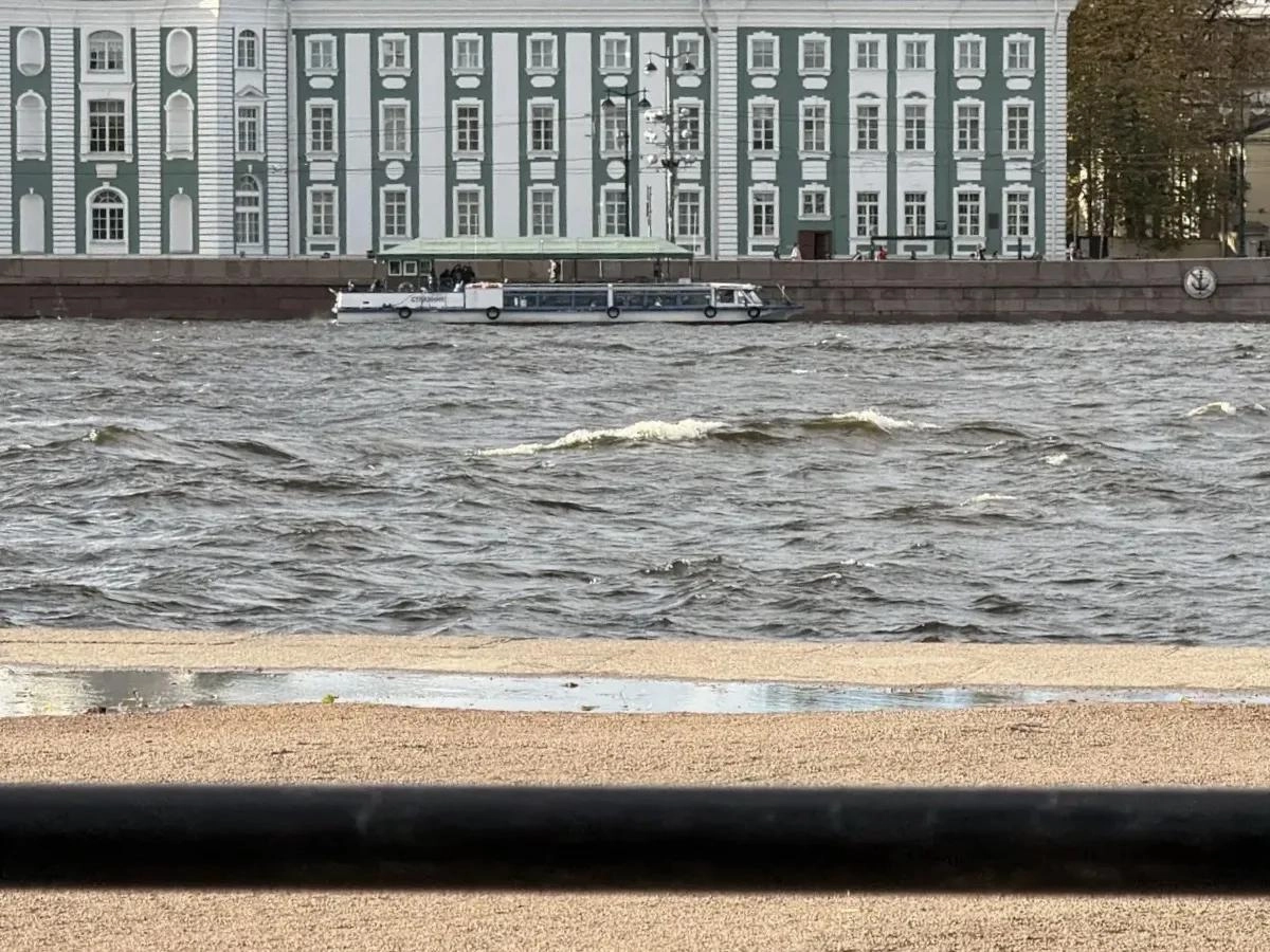 Нева вышла из берегов: в Петербурге зафиксировали резкий подъём воды - tvspb.ru