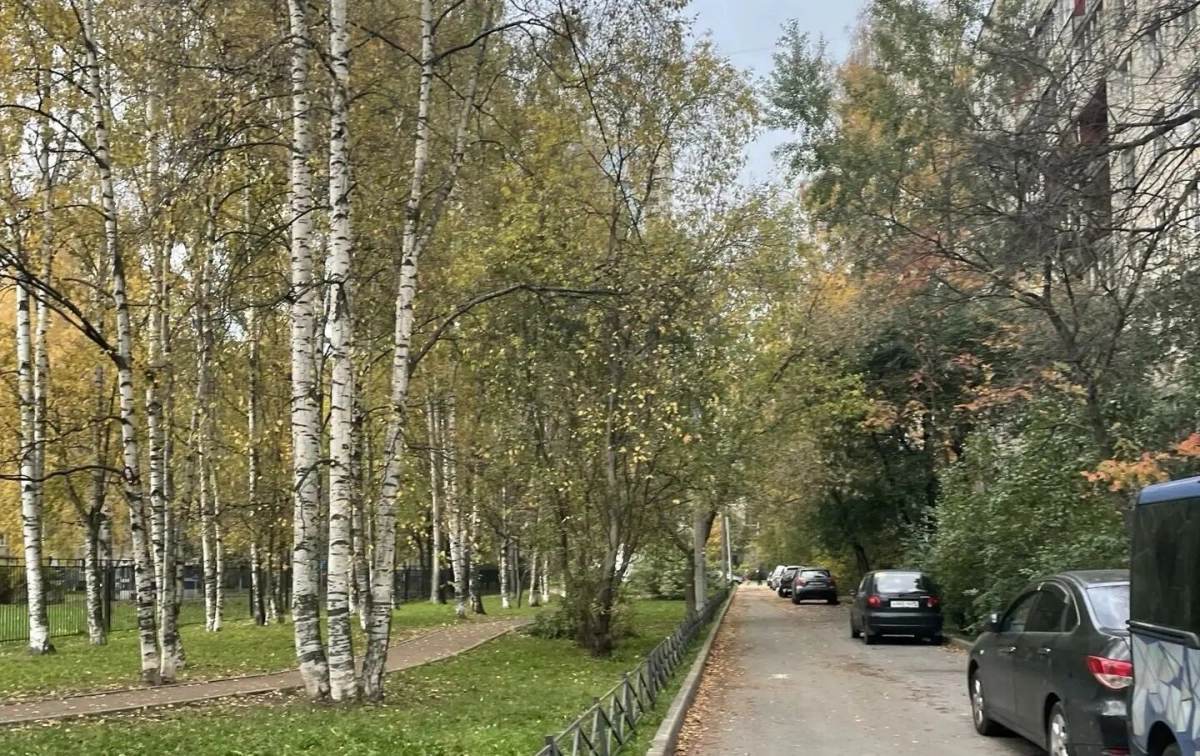 27 октября в Ленобласти потеплеет до +13, но ветер напомнит, что на дворе октябрь - tvspb.ru