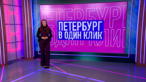 В один клик: осторожно-обезьянки в жизни, фонтанирующее счастье, ворона-футболистка и радуга над Исаакием — о чём рассказывали жители города в соцсетях