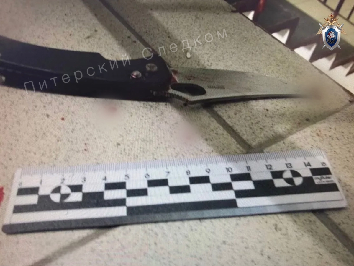 В Петербурге мужчина напал с ножом на двух женщин и умер, выпав из окна - tvspb.ru
