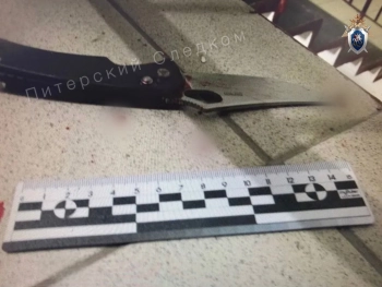 В Петербурге мужчина напал с ножом на двух женщин и умер, выпав из окна